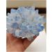Rare Beautiful Blue Ghost Phantom Quartz Crystal Cluster Specimen Decoration Crystal Cluster (Size : 400-500 g) - Buy Online on GoSupps.com