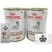 AETN Creations Bundle Pack of 2x400g Wet Gastrointestinal Veterinary Diet Dog Food for Adult Dogs with Long or short-term Digestive Sensitivities plus AETN Jerky Treat - Buy Online on GoSupps.com