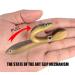 Soft Bionic Fishing Lure 10pcs - Realistic Saltwater & Freshwater Bounce Lure for Fishing Lovers - Buy Online on GoSupps.com
