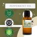 Peppermint Essential Oil 100% Pure Mentha Piperita GreenHealth 8 fl oz (237 ml) Aluminum Bottle with Plug Cap Aromatherapy, Diffusers, DIY, Candles, Fresh Home Scent Peppermint 8 Fl Oz (Pack of 1) - Buy Online on GoSupps.com