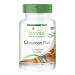Fairvital | Cinnamon Plus - Bulk Pack for 3 Months - Vegan - HIGH Dosage - 90 Capsules - Cinnamon Extract with Chromium and zinc