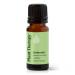Plant Therapy Defender Essential Oil Blend 10 mL (1/3 oz) 100% Pure Undiluted Immune Support & Uplifting Aromatherapy Bottle 0.34 Fl Oz (Pack of 1)