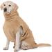 Shop Lills Dog Wadder - 100% Organic Cotton Bathrobe for Dogs | Extra Absorbent Beige/Cream 60cm Back Length - International Shipping Available - Buy Online on GoSupps.com