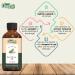 Red Thyme Essential Oil - Pure & Natural 30ml | Aromatherapy Skincare & Massage - International Shipping Available - Buy Online on GoSupps.com