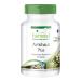 Fairvital | Artichoke Plus VEGAN - 90 capsules - with nettle extract 10:1 and juniper