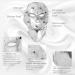 7 Color LED Face Mask Light Therapy for Skin Rejuvenation - Home Skin Care Mask for Face and Neck - Buy Online on GoSupps.com