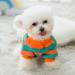 XS Dog Sweater Fleece - Small Dog Clothes for Boy Girl Cats - Cold Weather Chihuahua & Teacup Yorkie Sweater - X-Small Winter Outfit in Green+Blue - Buy Online on GoSupps.com