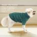 Warm Peacock Green Dog Sweater for Small Dogs - Winter Turtleneck Knit Sweater | Soft Stylish Pet Clothing - Buy Online on GoSupps.com