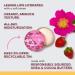 Burt's Bees 100% natural origin Moisturizing Lip Butter with Wild Rose and Berry 11.3 Grams - Buy Online on GoSupps.com