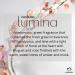 natura Regenerating Hair Serum Lumina Color Treated - Buy Online on GoSupps.com