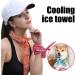 Taippan Cooling Neckerchief Set - 9 Summer Scarves & Headbands for Ultimate Comfort - Reusable & Soothing for Indoor & Outdoor Sports - Buy Online on GoSupps.com