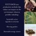 Phytomer Vegetal Exfoliant - Natural Exfoliating Treatment for Radiant Skin - Buy Online on GoSupps.com