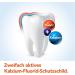 Buy Elmex Caries Protection Toothpaste (Pack of 6 x 75ml) - Best International Shipping - Buy Online on GoSupps.com
