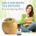 Garden of Life Peppermint Essential Oil - 100% Organic, Undiluted, 15 mL for Diffuser & Aromatherapy - Buy Online on GoSupps.com