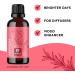 Pink Grapefruit Essential Oil Blend - Refreshing Citrus Essential Oil Blend for Diffusers with Lime Essential Oil Grapefruit Oil and Eucalyptus Essential Oil - Sweet Aromatherapy Citrus Oil Blend Refresh 1 Fl Oz (Pack of 1) - Buy Online on GoSupps.com