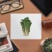 Buy 2 Pak Choi Microfiber Lens Cleaning Cloths - Premium Quality for Glasses - International Shipping Available - Buy Online on GoSupps.com