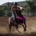 FM2018XSL Horse Harness LED Breastplate - Luminous Reflective Safety Belt for Outdoor Equestrian - Bright Orange International Shipping - Buy Online on GoSupps.com