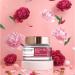 Miniature Body Butter - 50g | Rose Infused | Shea Cocoa & Mango Butters | Non-Greasy Vegan Moisturizer | Cruelty-Free | Made in India - Buy Online on GoSupps.com