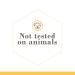 Burt's Bees Fluoride-Free Toothpaste 4.7 oz (Pack of 3) | Natural Flavor Purely White & Zen Peppermint - Buy Online on GoSupps.com