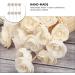 Cabilock Aroma Sticks Diffuser Set - 8 Replacement Rattan Sticks for Essential Oil & Aromatherapy - Wood Fragrance Diffuser with Artificial Flower Head - Buy Online on GoSupps.com