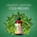 Organic Neem Oil Concentrate - Cold Pressed for Indoor & Outdoor Plants - 8 oz Leaf Shine Spray - Buy Online on GoSupps.com