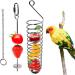 Ruiqas Bird & Chicken Fruit Holder - Stainless Steel Vegetable Feeder Basket for Foraging - Buy Online on GoSupps.com
