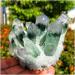 Crystal Rough Natural Green Ghost Phantom Quartz Crystal Cluster Specimen - Buy Online on GoSupps.com