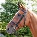 John Whitaker Barton Bridle | Raised Flash Havana | Full Size | International Shipping Available - Buy Online on GoSupps.com