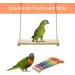 Chicken Swing and Xylophone Toys 2 Pack - Fun Entertainment for Poultry, Roosters, Hens, Chicks, Parrots, Macaws - Stress Relief for Birds - Buy Online on GoSupps.com