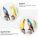 Sculptures Delicate Wooden Bird Desktop Decors Home Use Wood Craft Parrot Ornaments Desktop Decoration - Buy Online on GoSupps.com