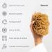 Naroa Natural Sea Sponge for Bathing | Firm Exfoliating Body Scrubber | Eco-Friendly & Renewable | Medium Size | Men & Women - Buy Online on GoSupps.com