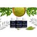 Moringa Antioxidant Capsules - 800 MG Moringa Oleifera for Energy Metabolism & Immune Support - International Shipping Available - Buy Online on GoSupps.com