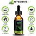 Organic Castor Oil for Hair Growth, Eyebrows, Eyelashes, Nails & Skin - Cold Pressed, 30ml with 5 Sets of Brushes - Buy Online on GoSupps.com