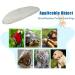Mivofun Natural Cuttlebone for Tortoise, Turtles, Birds & Small Animals (2PCS, 4-4.5 inches) - Buy Online on GoSupps.com