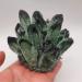 Gems for Decoration 500-600g Natural Green Ghost Quartz Crystal Cluster Crystals raw Gem Specimen for Home&Office Decoration fengshui Aura Crystal - Buy Online on GoSupps.com