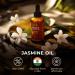 Jasmine Essential Oil for Diffuser (4 Fl Oz) & Frankincense Essential Oil (4 Fl Oz) - Aromatherapy Grade Essential Oils Set - Gya Labs - Buy Online on GoSupps.com