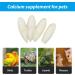 Leikedun 4 PCS Large Cuttlefish Bone(13-16cm) Birds Parrots Chewing Toys Birds Chew Toys Natural Cuddle Bone for Parrots Cage Birds Reptiles Tortoises Snails - Buy Online on GoSupps.com