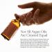 Josie Maran Argan Milk Intense Hydration Body Care Set | Hydrating Serum & Night Cream | Lightweight Fast-Absorbing Skin Care with Pure Argan Oil (2 Piece - Buy Online on GoSupps.com