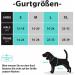 POPOT No Pull Dog Harness - Reflective Pet Vest for Small Dogs | Perfect for Training Walking & Running (Pink) - Buy Online on GoSupps.com