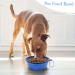 Vivifying 1000ml Foldable Dog Bowl - 2PCS Silicone Large Dog & Cat Feeding Bowls for Travel (Black & Blue) - Buy Online on GoSupps.com