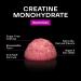 Organic Sugar Free Creatine Monohydrate Gummies | Vegan Energy Chews 3000mg | Gluten Free Non-GMO Wild Berry Flavor | Trial Size for Men & Women - Buy Online on GoSupps.com