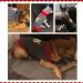 Abrrlo Christmas Dog Sweater | Cozy Winter Knitting Pet Fashion | Perfect Holiday Gift for XXL Dogs - Buy Online on GoSupps.com
