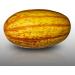 10 Seeds - SPAGHETTI Squash Vegetal - Cucurbita pepo - Buy Online on GoSupps.com