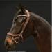 PresTeq FaySport Snaffle Bridle Brown Full Size