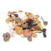 West Coast Wild Foods  Dried Wild Mushrooms (Mix 1oz - 28g) Mix 1 Ounce - 28g - Buy Online on GoSupps.com