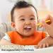 Gerber Baby Cereal Probiotic for Crawlers Powerblend Oatmeal Lentil Carrot Apple 8oz (Pack of 6) - Buy Online on GoSupps.com