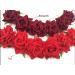 Floral Fall Rose Red Flower Crown Headband - Festival Hair Wreath F-67 (3-Red) - Buy Online on GoSupps.com