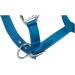 RL24 Halter with Plush Padding - BASICLINE in 6 Colors for Shetty Pony Thoroughbred Warmblood | Turquoise Shetty - Buy Online on GoSupps.com