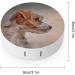 Jack Russell Terrier Contact Lens Case - Portable Travel Box with Mirror for Dog Lovers - Buy Online on GoSupps.com