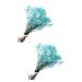 2pcs Plant Decor Gifts Dried Flowers The Gift Dried Flower Decor Creative Preserved Flower Preserved Flower Decor Romantic Preserved Flower Artificial Gypsophila Bluex2pcs 60X20cmx2pcs